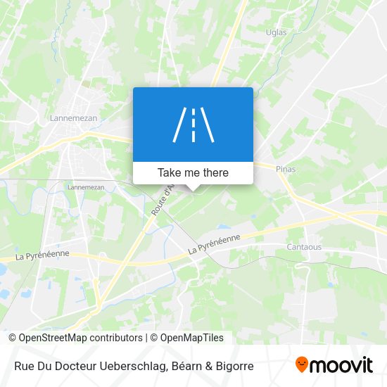 Rue Du Docteur Ueberschlag map