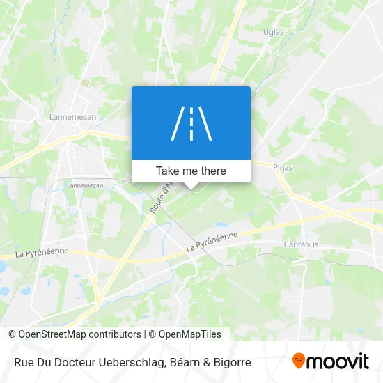 Rue Du Docteur Ueberschlag map