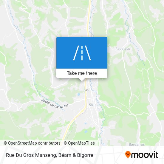 Rue Du Gros Manseng map