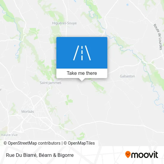 Rue Du Biarré map