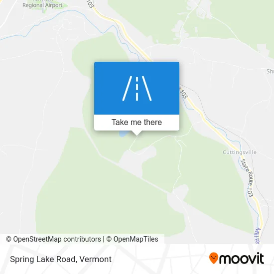 Spring Lake Road map