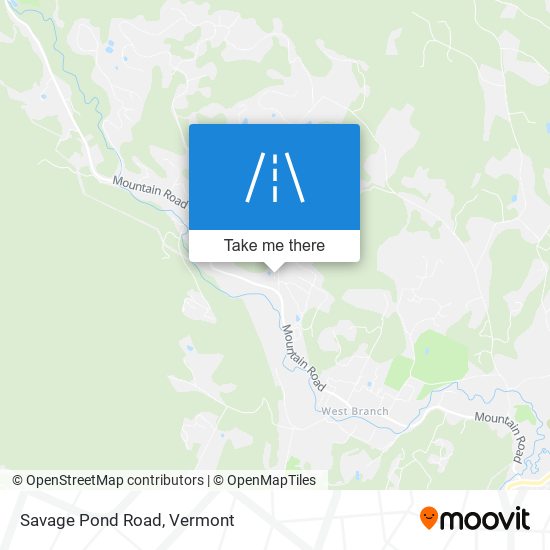 Savage Pond Road map