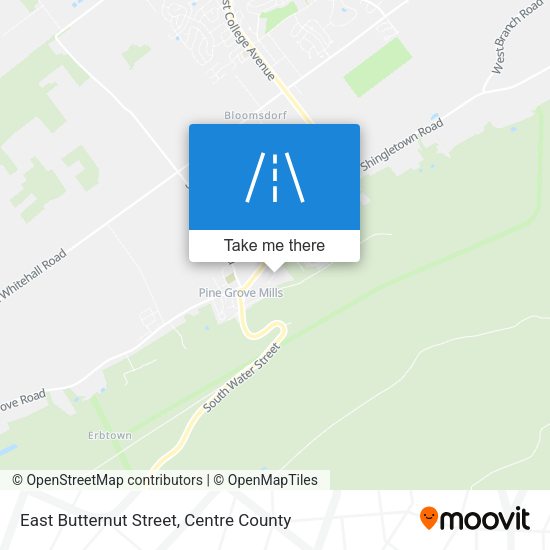 East Butternut Street map