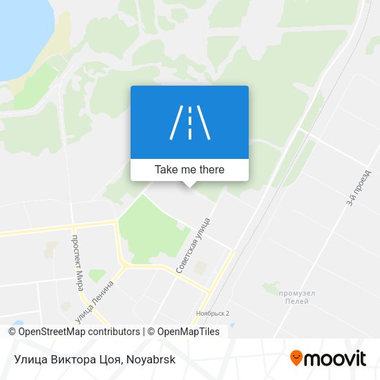 Улица Виктора Цоя map