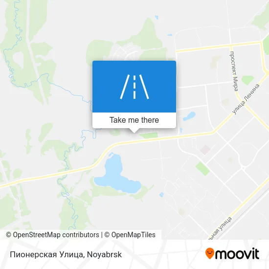 Пионерская Улица map