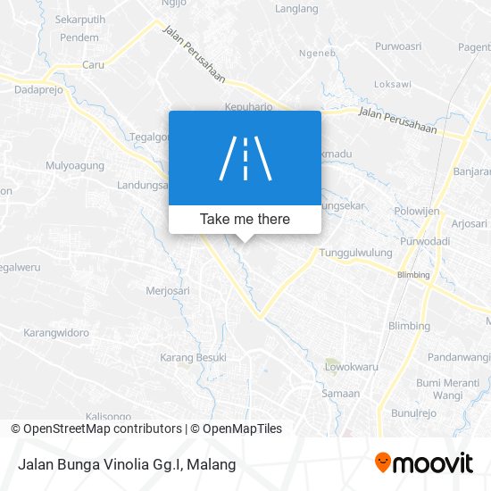 Jalan Bunga Vinolia Gg.I map