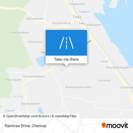 Raintree Drive map