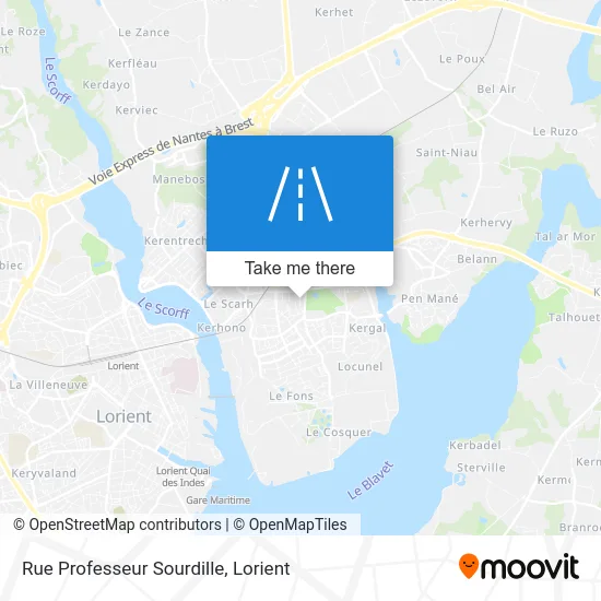 Rue Professeur Sourdille map