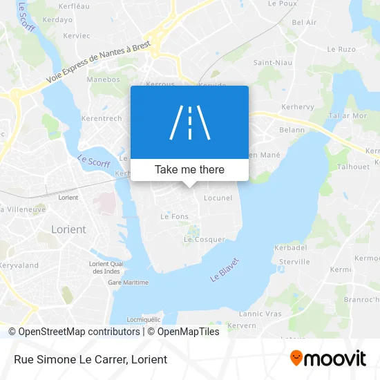 Rue Simone Le Carrer map