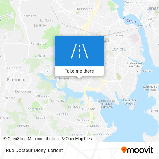 Rue Docteur Dieny map