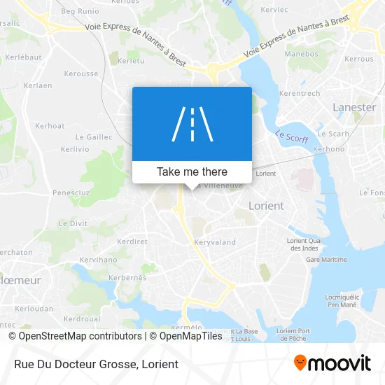 Rue Du Docteur Grosse map