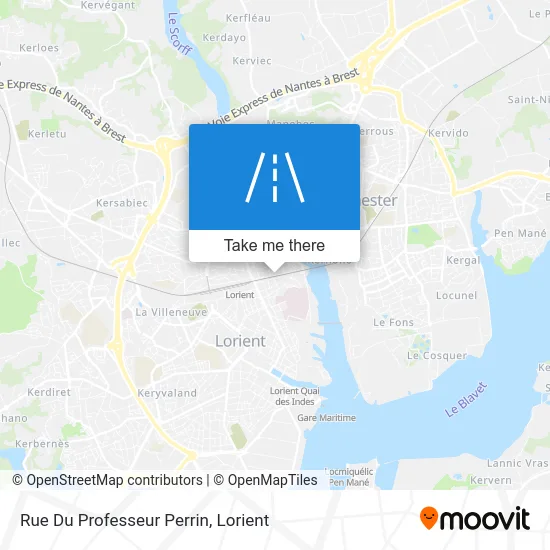 Rue Du Professeur Perrin map