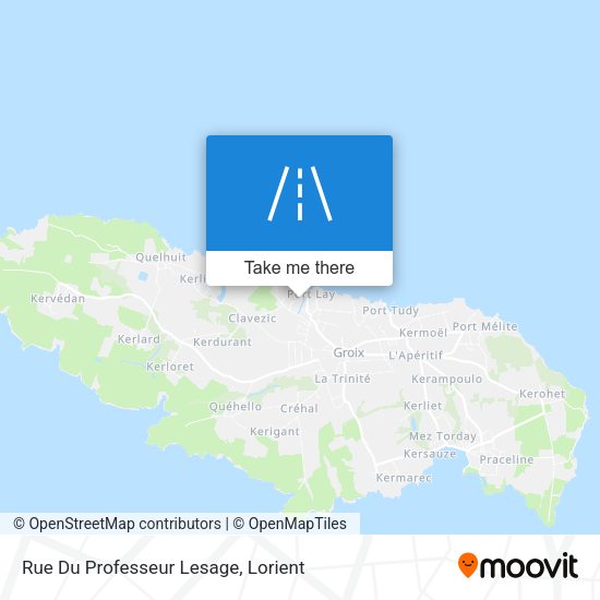 Rue Du Professeur Lesage map