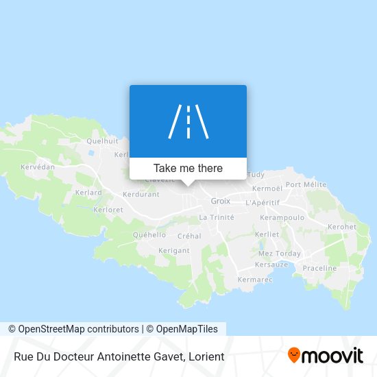 Rue Du Docteur Antoinette Gavet map