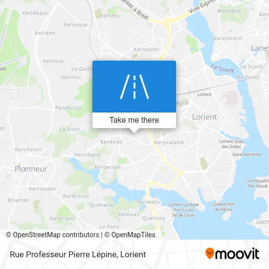 Rue Professeur Pierre Lépine map