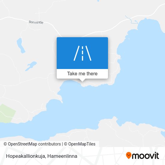 Hopeakallionkuja map