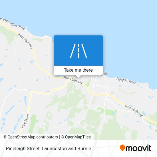 Pineleigh Street map