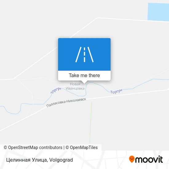 Целинная Улица map
