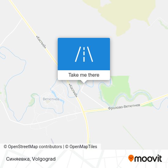 Синяевка map