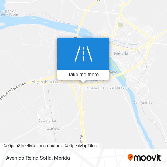 Avenida Reina Sofía map