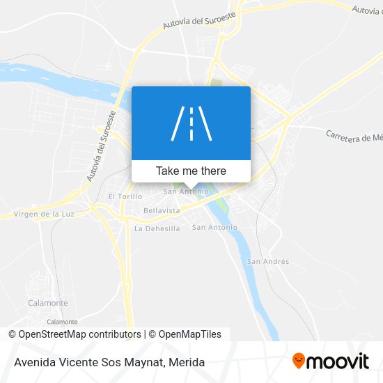 Avenida Vicente Sos Maynat map