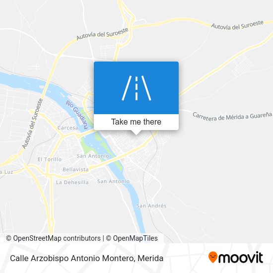 Calle Arzobispo Antonio Montero map