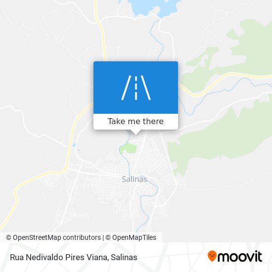 Rua Nedivaldo Pires Viana map