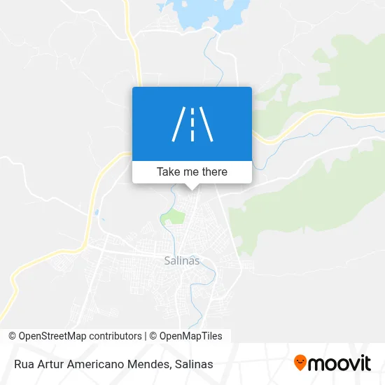 Rua Artur Americano Mendes map