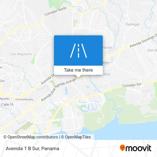 Mapa de Avenida 1 B Sur