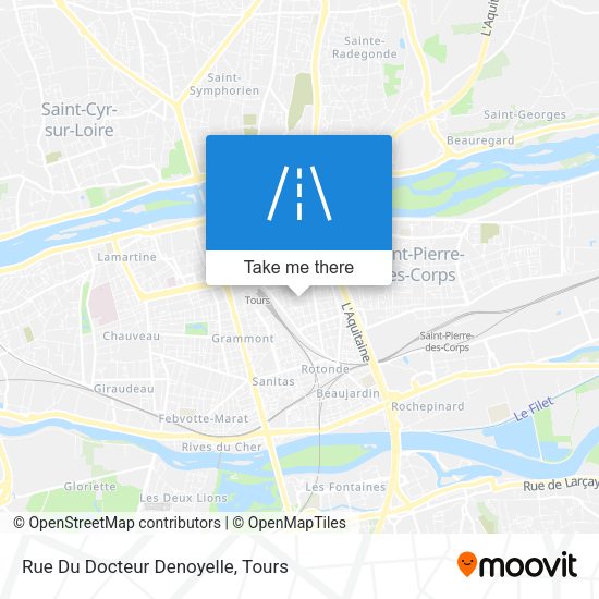 Rue Du Docteur Denoyelle map