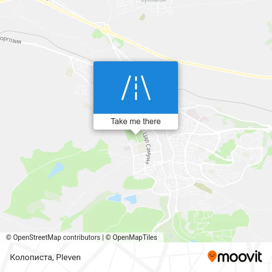 Карта Колописта