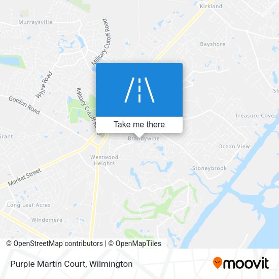 Purple Martin Court map