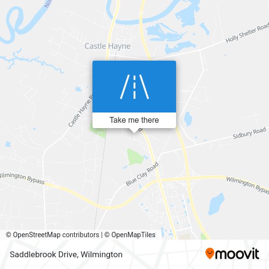 Saddlebrook Drive map