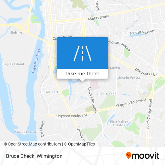 Bruce Check map
