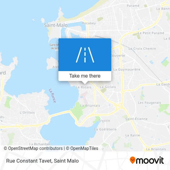 Rue Constant Tavet map