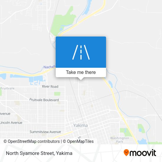 North Syamore Street map