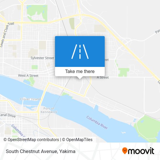 South Chestnut Avenue map