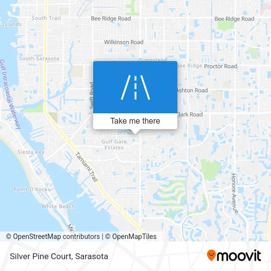 Mapa de Silver Pine Court