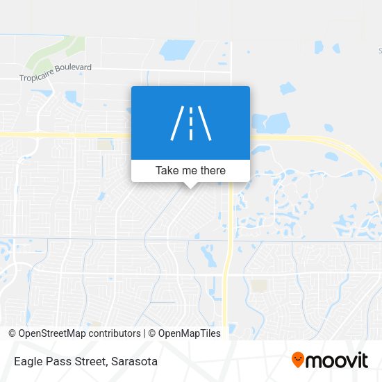 Eagle Pass Street map