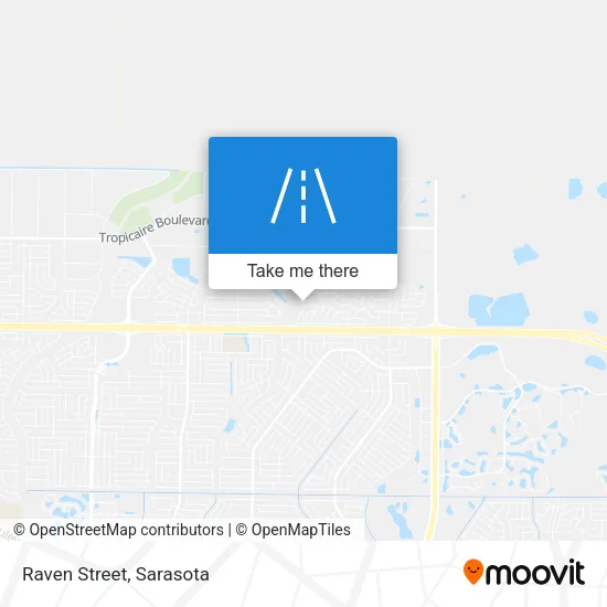 Raven Street map