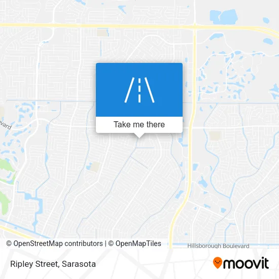 Ripley Street map