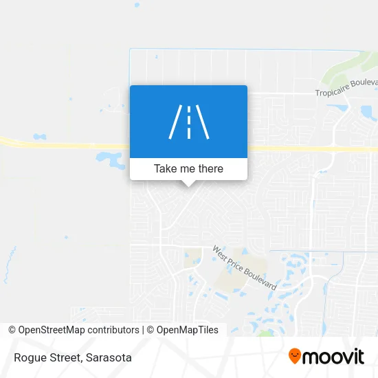 Rogue Street map