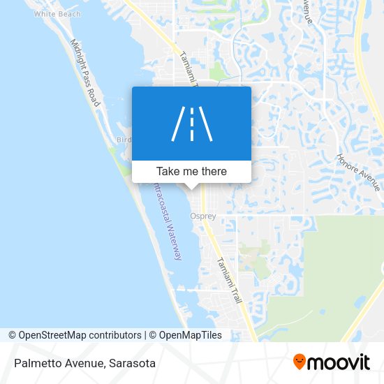 Mapa de Palmetto Avenue