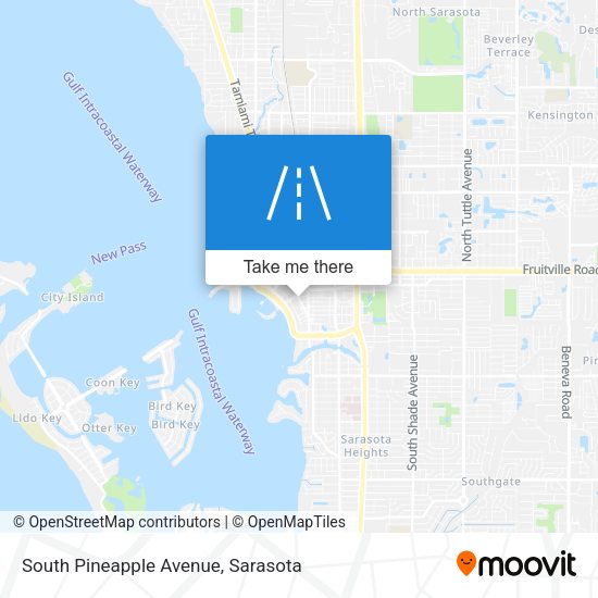 South Pineapple Avenue map