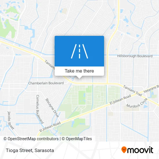 Tioga Street map