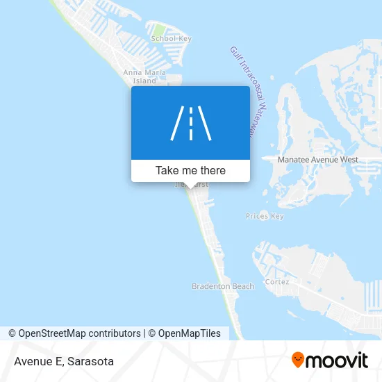 Avenue E map