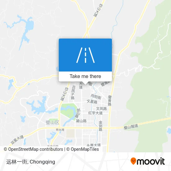 远林一街 map