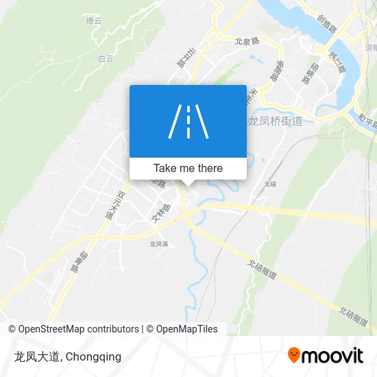 龙凤大道 map