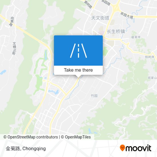 金菊路 map