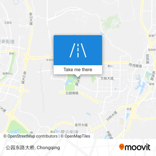 公园东路大桥 map